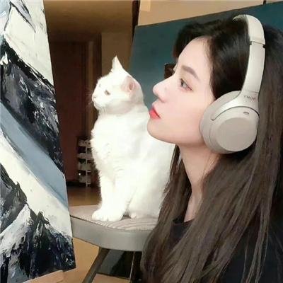 银面具
